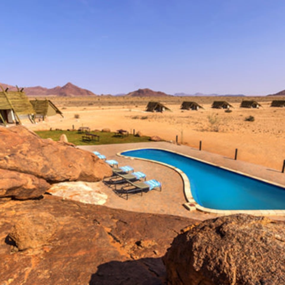 Desert Quiver Camp